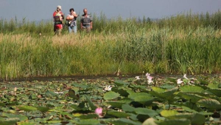 ������� � 2013 � ��������� ������� �������� ��� ������ ������ ����