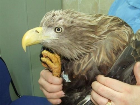 ��� ������ ����������