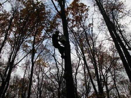 � ����������� �������  �������� ������������ �������