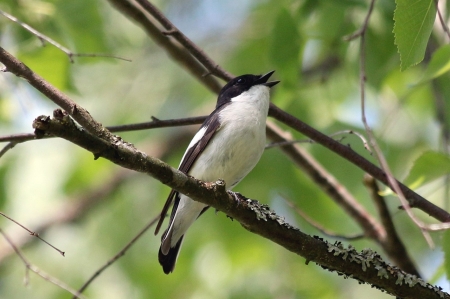 ��������� ����� �� �������� � �������� ��� ����������