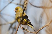 DSC_5254.jpg
