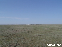 DSC06822.JPG