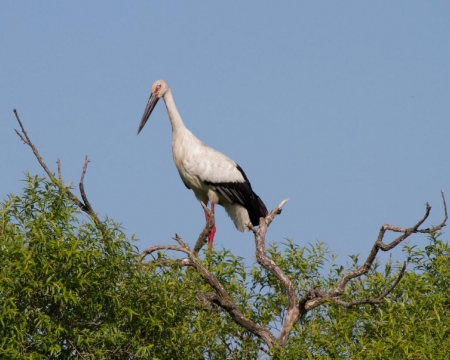 �������� � ����� ��������������� ������