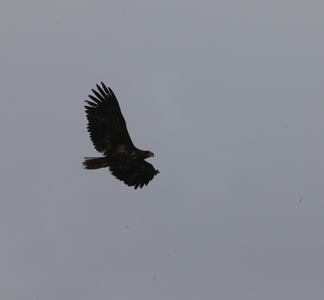 ���� ������ ����� ����  � ���������� �����������