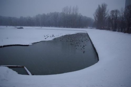 ��������� ���� ��������� ����