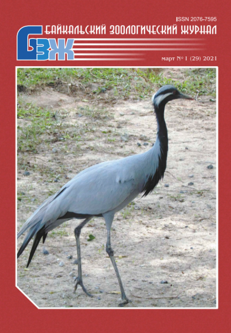 ����������� ������������� ������. ���. 29.