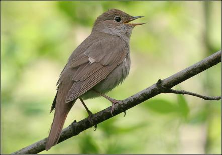 �����-2016: ���� �� ����, 3 ���