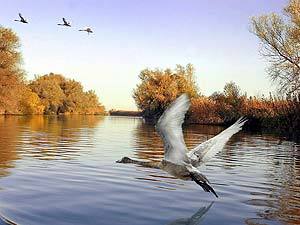 �� ������� ����� �������