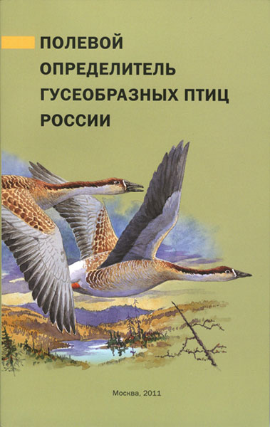 ������� ������������ ������������ ���� ������