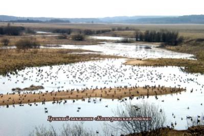 �������� ��������� �������� �������� ����� ���� �����