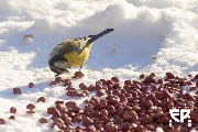 IMG_1226_web.jpg