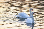 IMG_6783.jpg