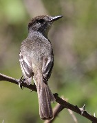 IMG_0003.JPG