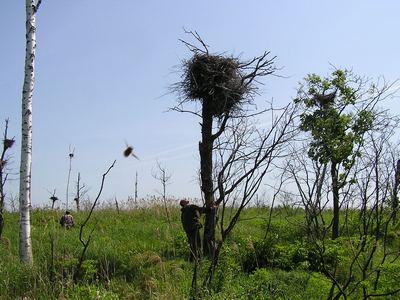 ������ ���������� ���������� �� ���������� �� ���������� 