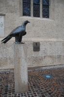 Bird_at_Fillach_1