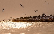 DSC_0710.jpg