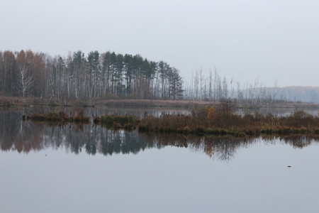 ���������� ��������� ��  ��������� 1 ������