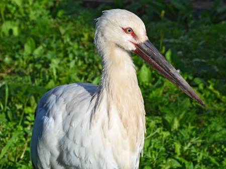 �������� �������. ��� �� �� ������