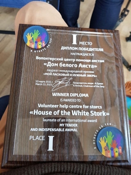 ����������� ����� ������ ������ ���� ������ ����� - ������� ������������� ������ ���� �������� � ������ ������ 