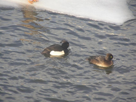 ����� ����� ������������� ���� �� ���� ������  26-29 ������ 2011 �.