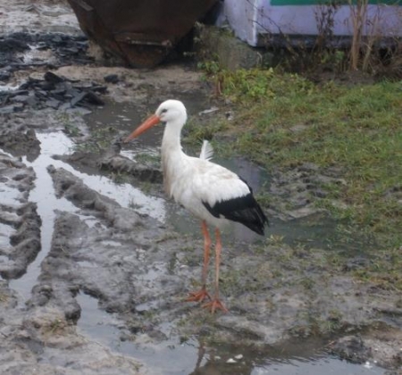 �� �� ���� ���� ������