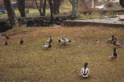 DSC_9665_2.jpg