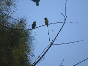 DSC00622-min.JPG
