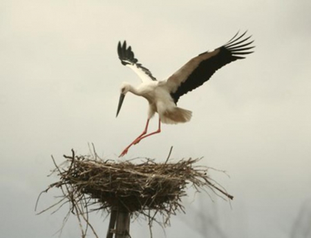 ��������� ��������� ���������������� ����� � ����������  ��� �������