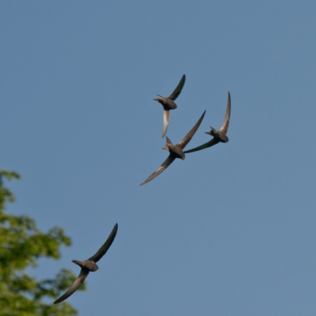 ������ ���������!