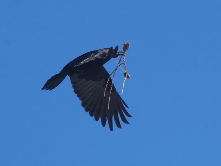 ����� � 2011: ���� �� ����. 11 ������