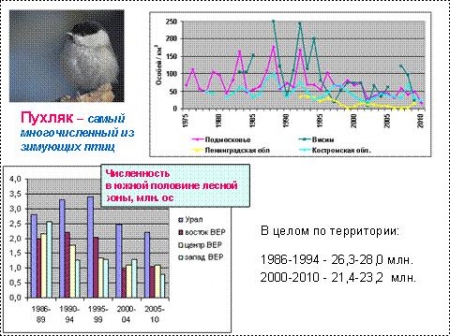 ����������� ��������� ���� ����� ����������� ������