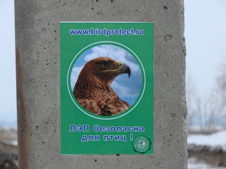 ����������� ������� ��������� �������� ����  �� ���-�����