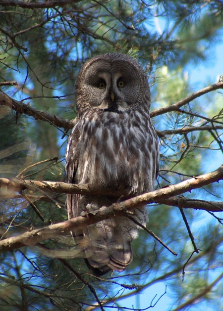 19 ������� - ���� ����������