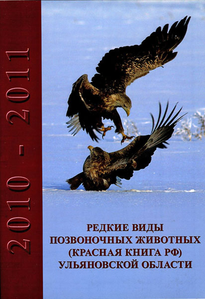 ������ ���� ����������� �������� ����������� �������,