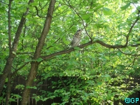 DSC03178.JPG