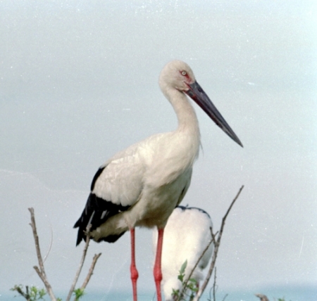 ���������� � ������������  �����