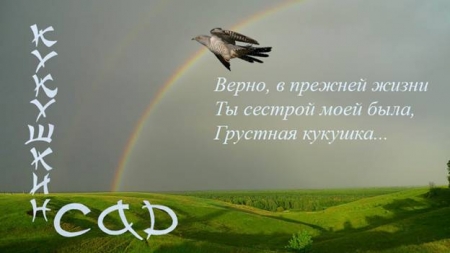 ����������� � ���������� �����