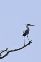 IMG_1870