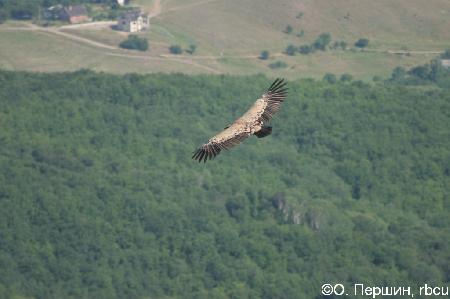 ������ ������ � ����� � �����