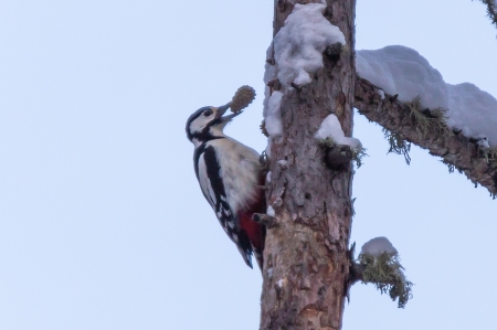 ��������� �������������� �������������� ���� � ���������� ������������