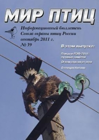 ��� ���� � 39