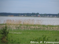 IMG_1176.JPG