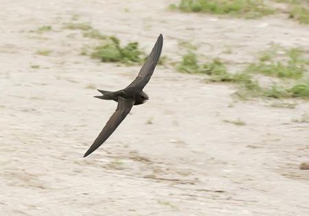 �����-2014: ���� �� ����. 4 ������