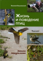 ,   ,      ,   ,  .       : "   ?    ?        ?     