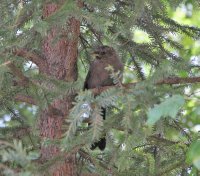 IMG_4192