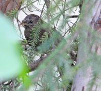 IMG_4183