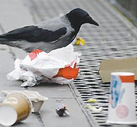 ������� �� ����