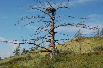  ����������� - �������� ����������� ����� � ������