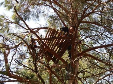 � ������� ��������� ��������� ��������� �������� ��� ������ ����