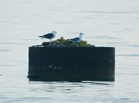 IMG_6140.JPG